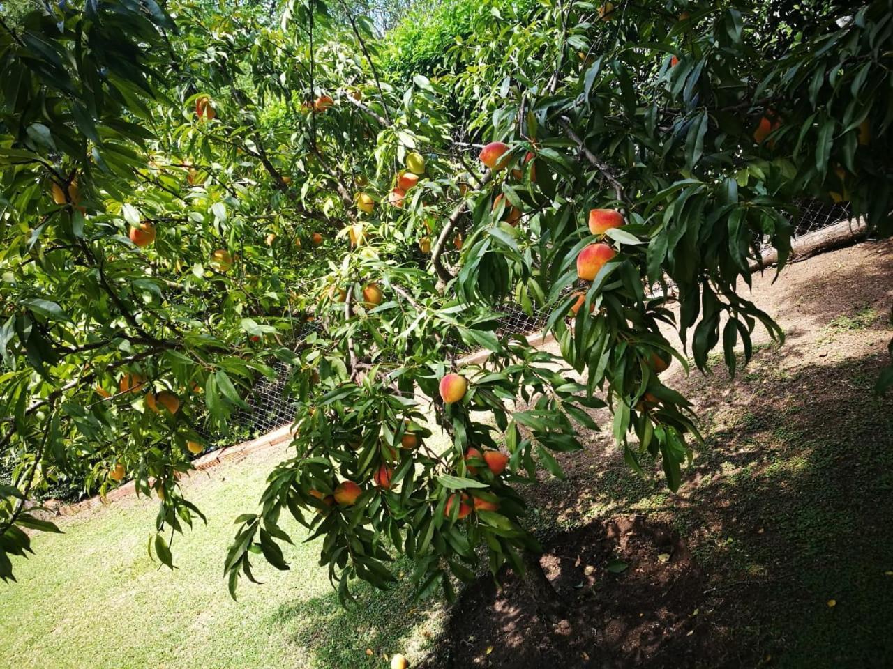 El Mana Villa Bialet Masse Ngoại thất bức ảnh